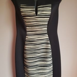 NWOT Bodycon sleeveless dress size 8